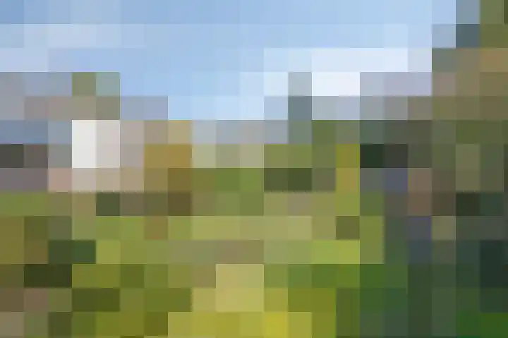 Van Tienhovenlaan 14 Velp thumbnail 32