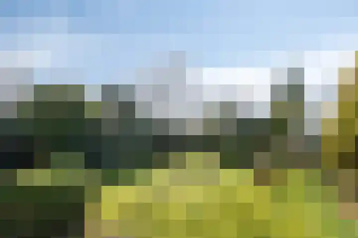 Van Tienhovenlaan 14 Velp thumbnail 33
