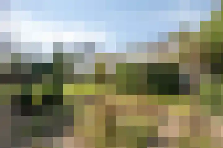 Van Tienhovenlaan 14 Velp thumbnail 35