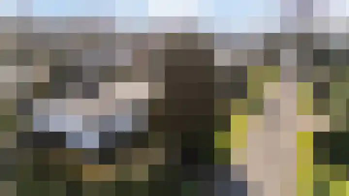 Van Tienhovenlaan 14 Velp thumbnail 4