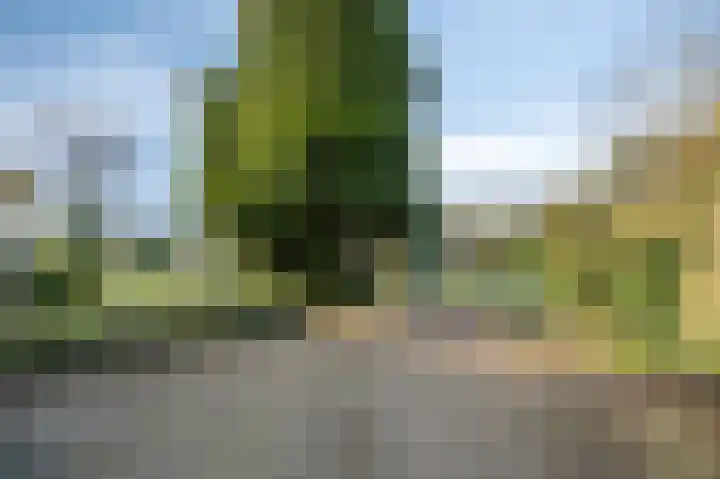 Van Tienhovenlaan 14 Velp thumbnail 44