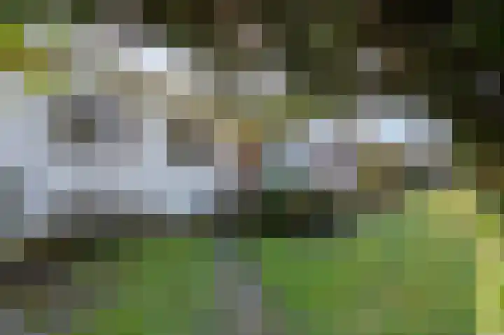 Van Tienhovenlaan 14 Velp thumbnail 5