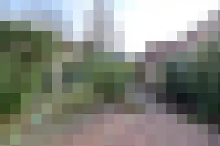 van Tienhovenlaan 29 Naarden thumbnail 9