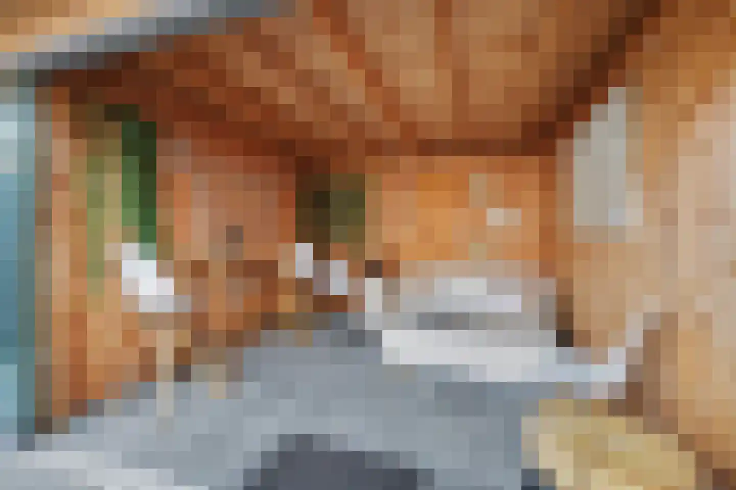 van Tienhovenstraat 12 Yerseke thumbnail 22