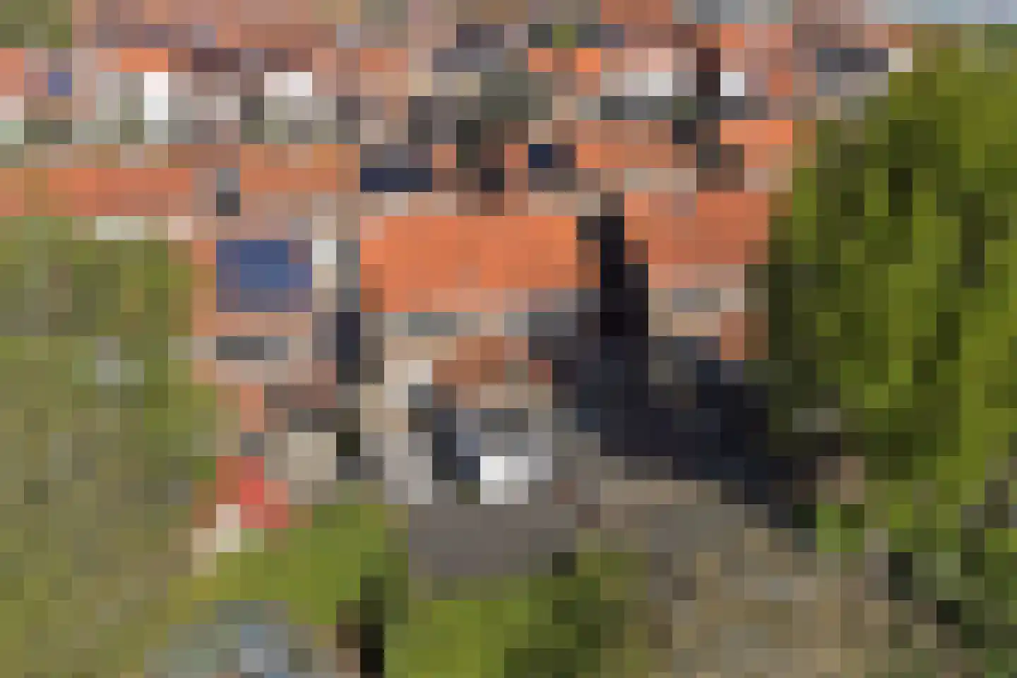 van Tienhovenstraat 12 Yerseke thumbnail 31