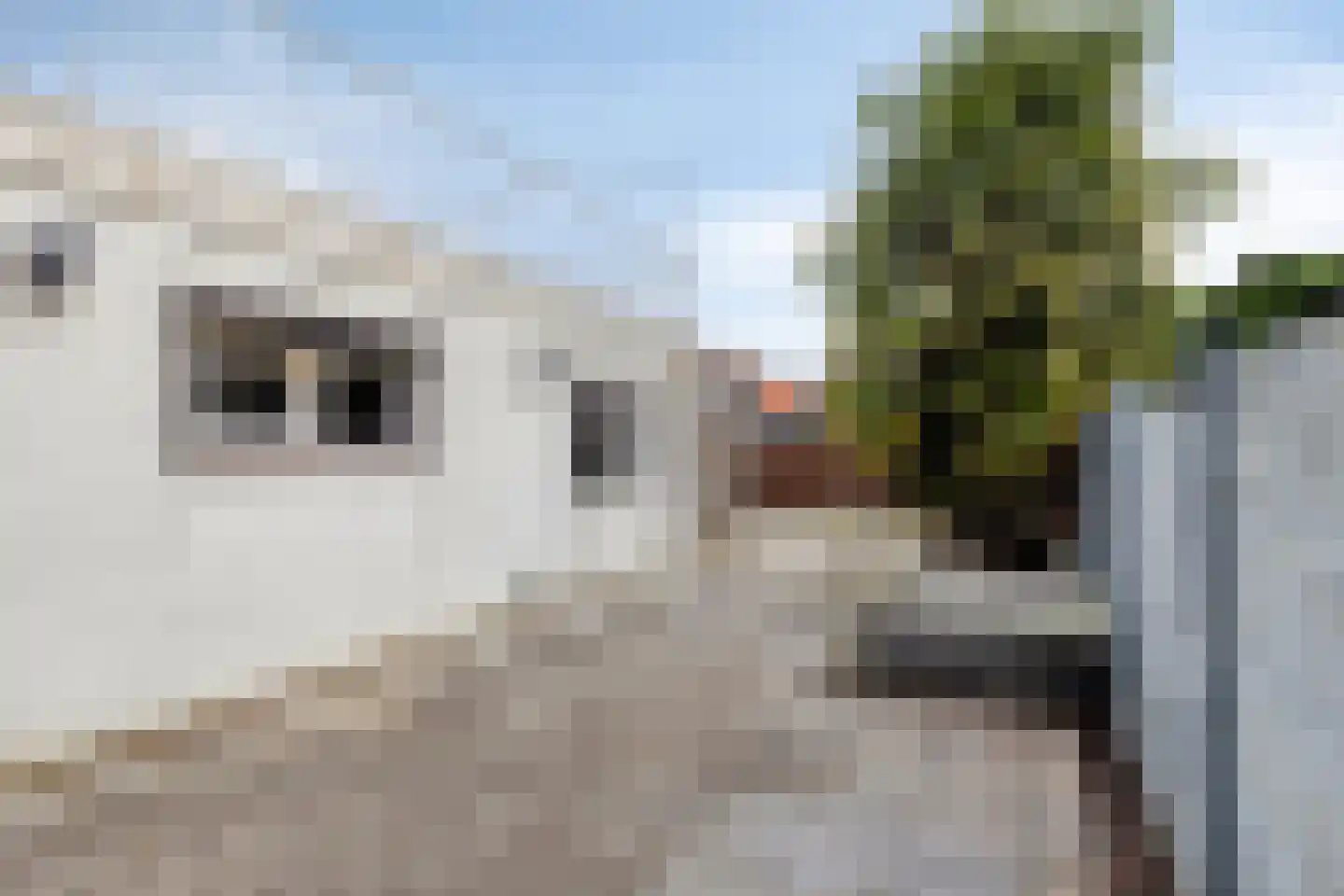van Tienhovenstraat 27 Yerseke thumbnail 24