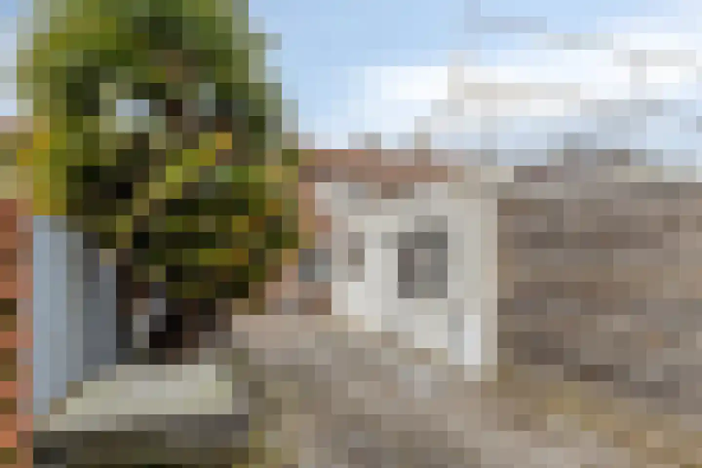 van Tienhovenstraat 27 Yerseke thumbnail 27