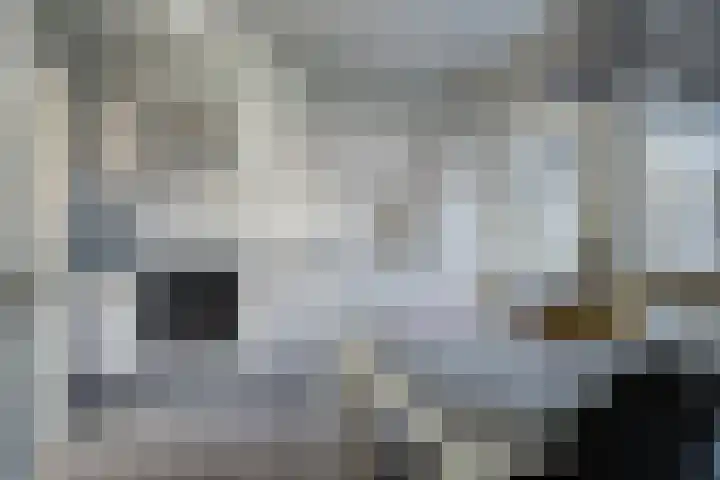 van Tienhovenstraat 7 Yerseke thumbnail 10