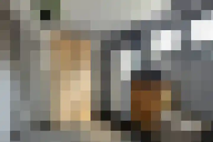 van Tienhovenstraat 7 Yerseke thumbnail 13