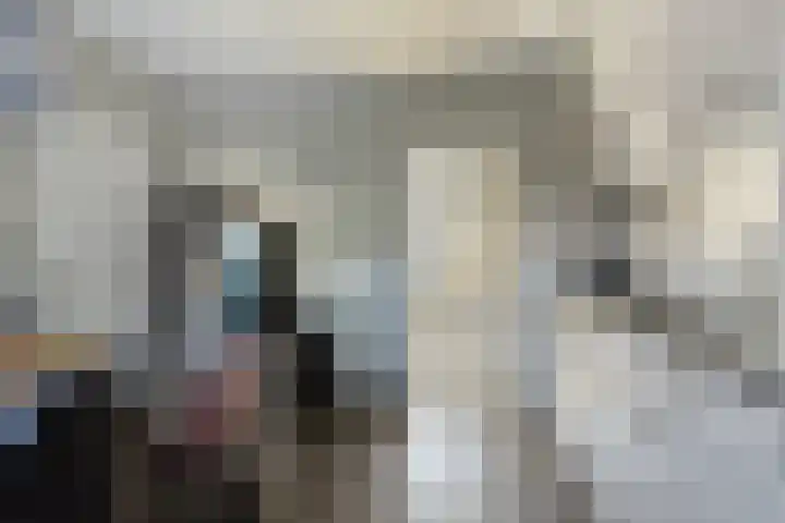 van Tienhovenstraat 7 Yerseke thumbnail 23