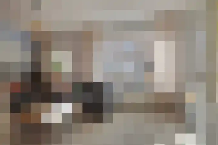 van Tienhovenstraat 7 Yerseke thumbnail 4