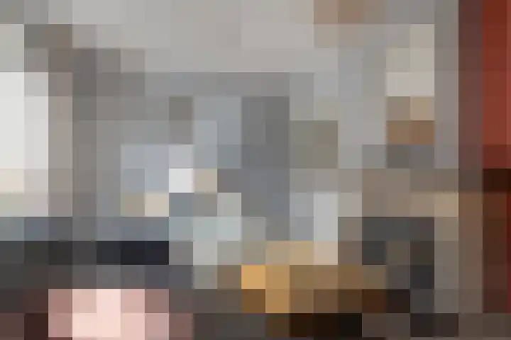van Tienhovenstraat 7 Yerseke thumbnail 8