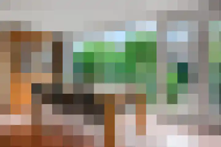 Van Tijnpad 22 Amersfoort thumbnail 10