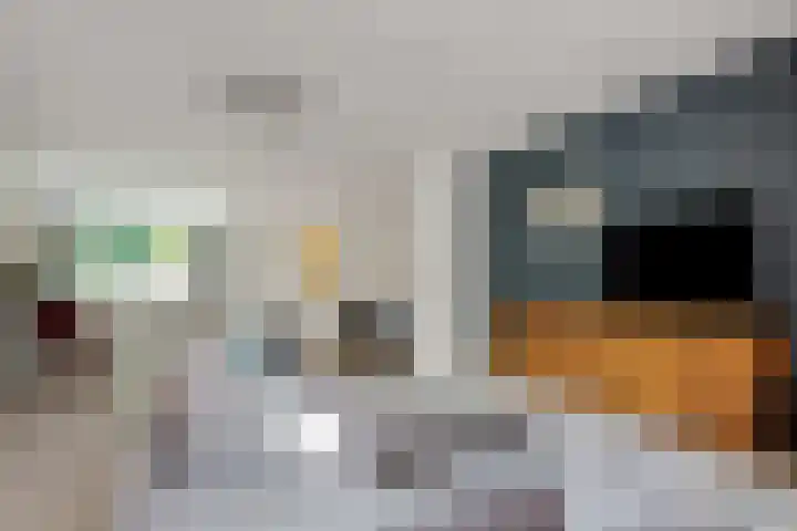 Van Tijnpad 22 Amersfoort thumbnail 11
