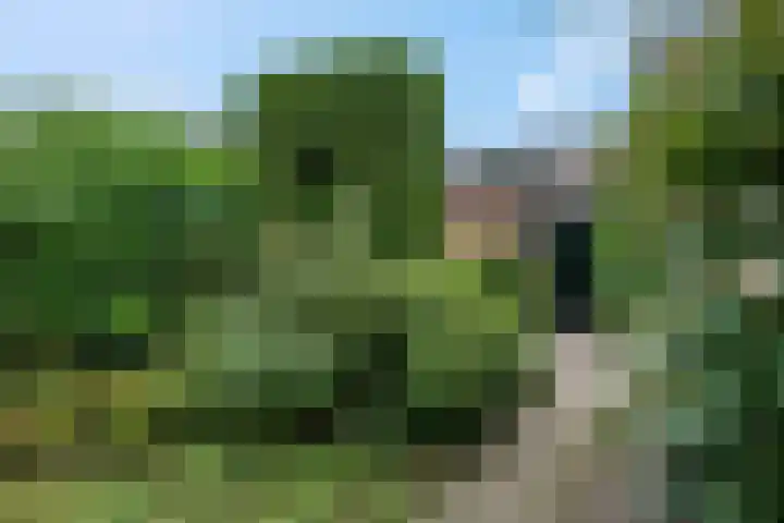 Van Tijnpad 22 Amersfoort thumbnail 16
