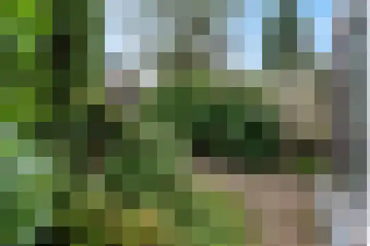 Van Tijnpad 22 Amersfoort thumbnail 17