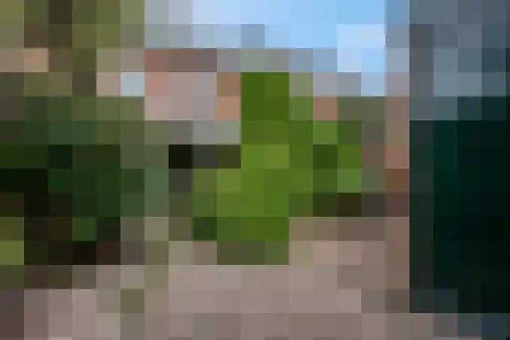 Van Tijnpad 22 Amersfoort thumbnail 18