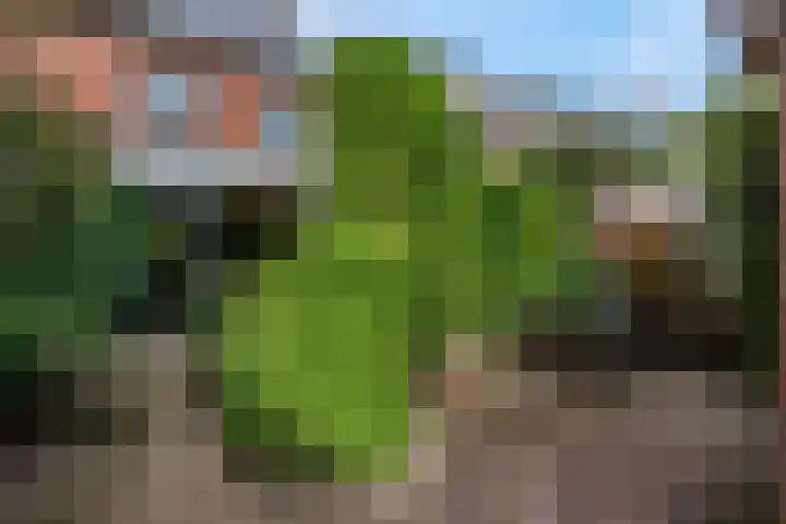 Van Tijnpad 22 Amersfoort thumbnail 19