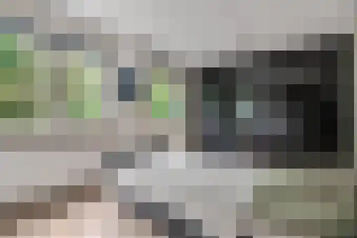 Van Tijnpad 22 Amersfoort thumbnail 32