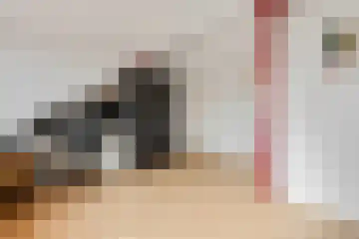 Van Tijnpad 22 Amersfoort thumbnail 37