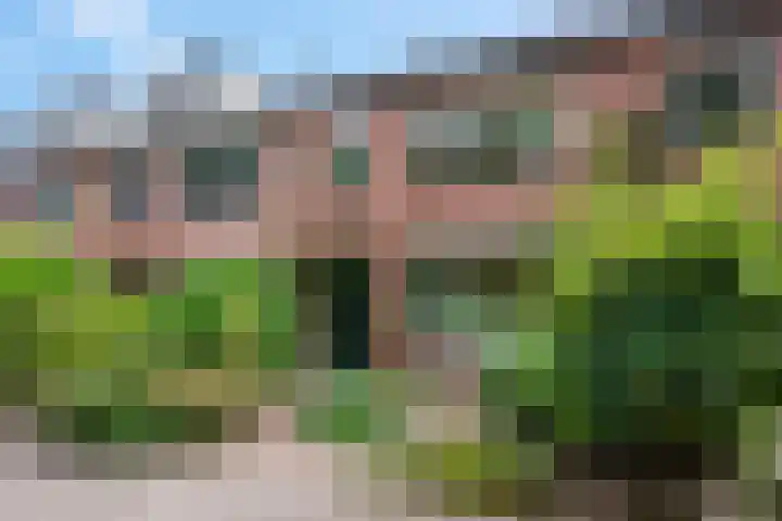 Van Tijnpad 22 Amersfoort thumbnail 39