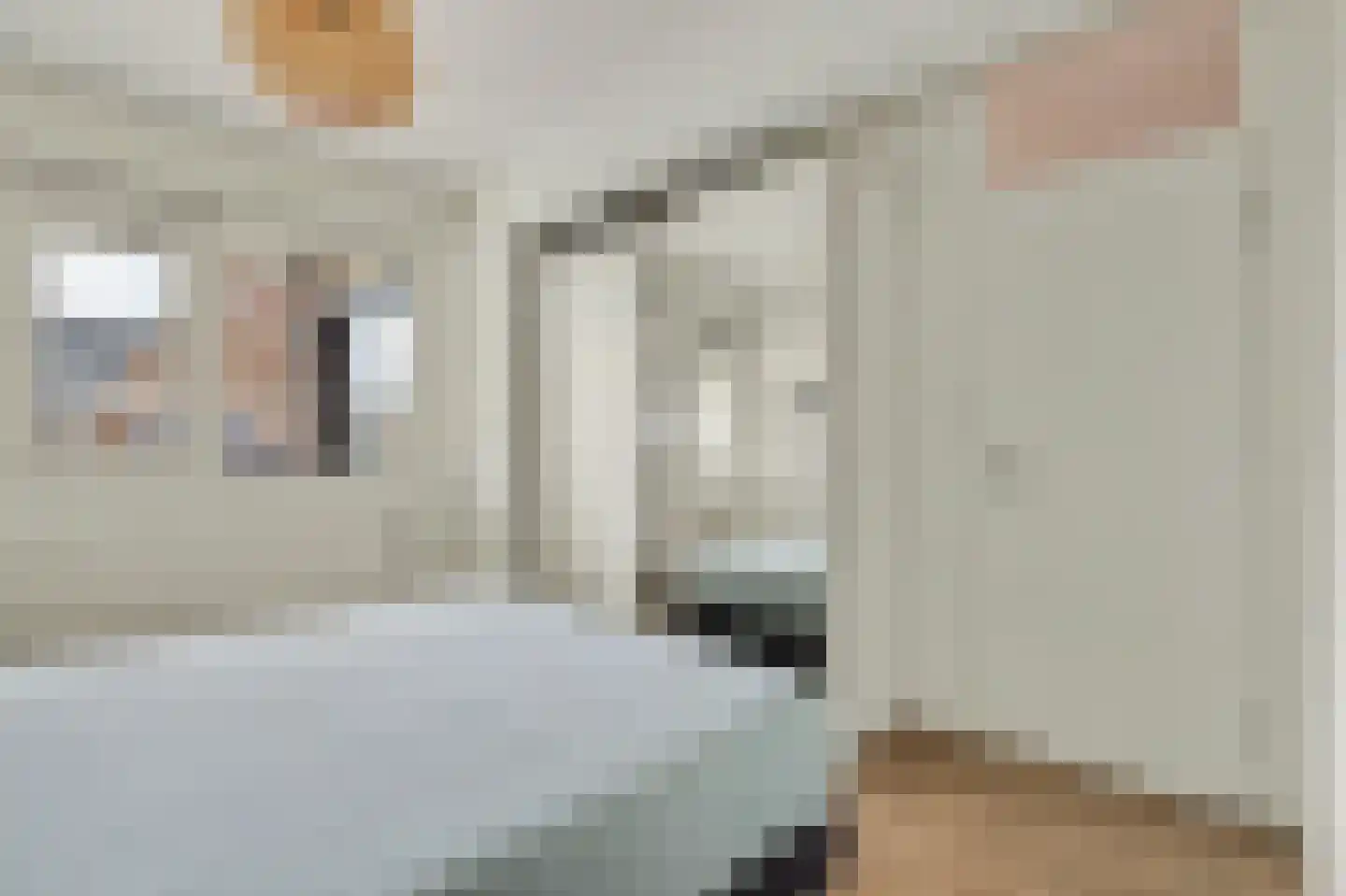 Van Tijnplein 12 Naaldwijk thumbnail 16