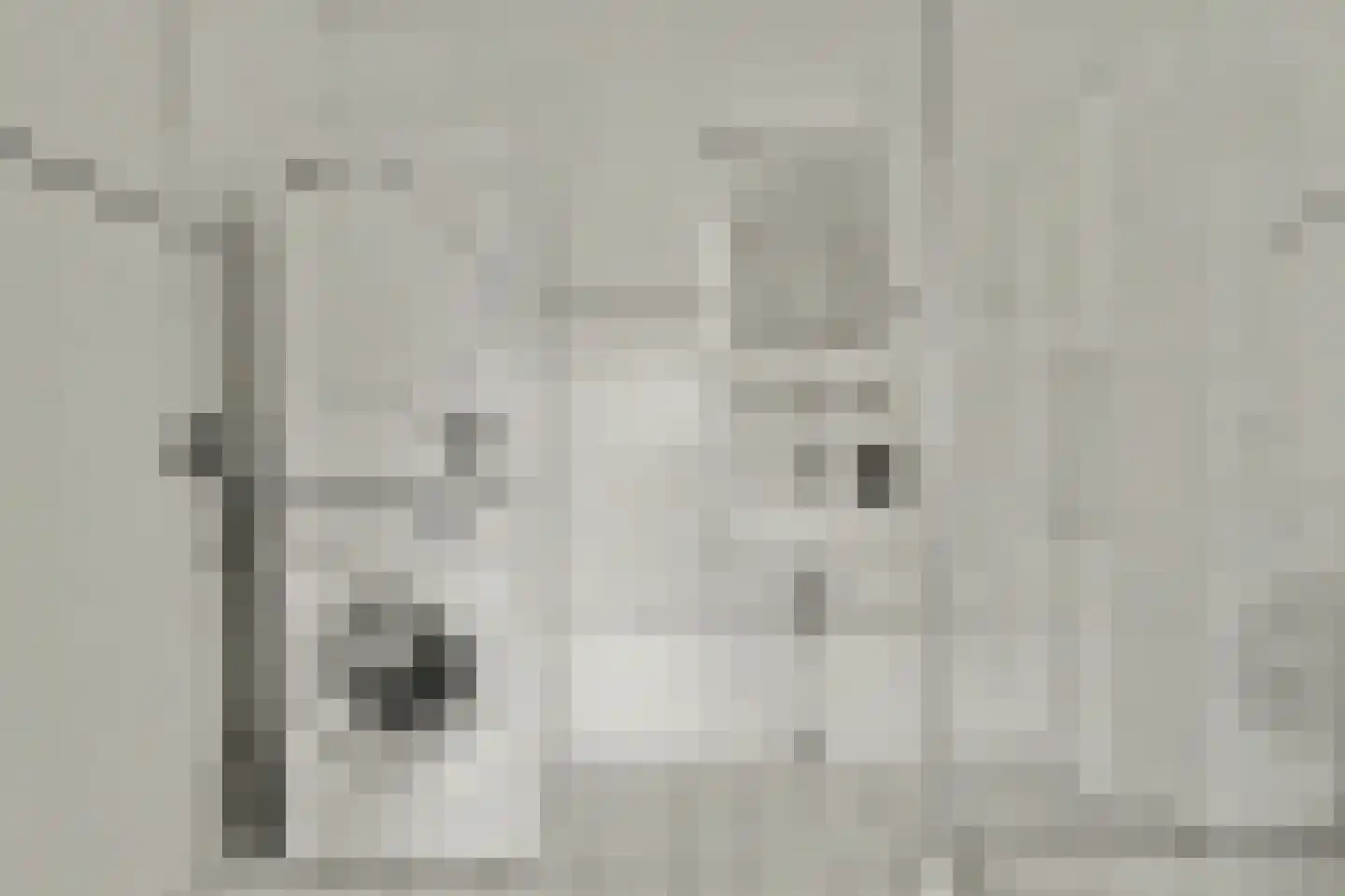 Van Tijnplein 12 Naaldwijk thumbnail 19
