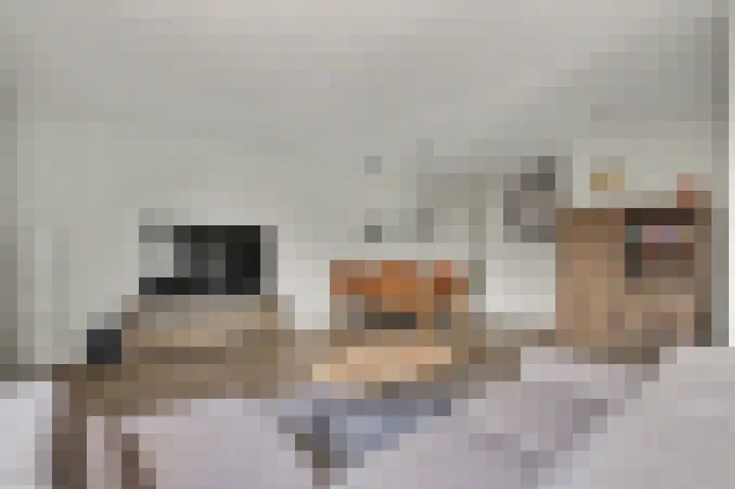 Van Tijnplein 12 Naaldwijk thumbnail 5