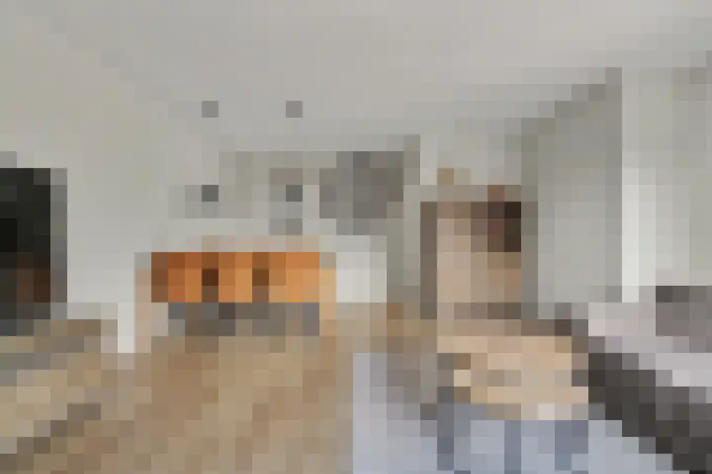 Van Tijnplein 12 Naaldwijk thumbnail 7