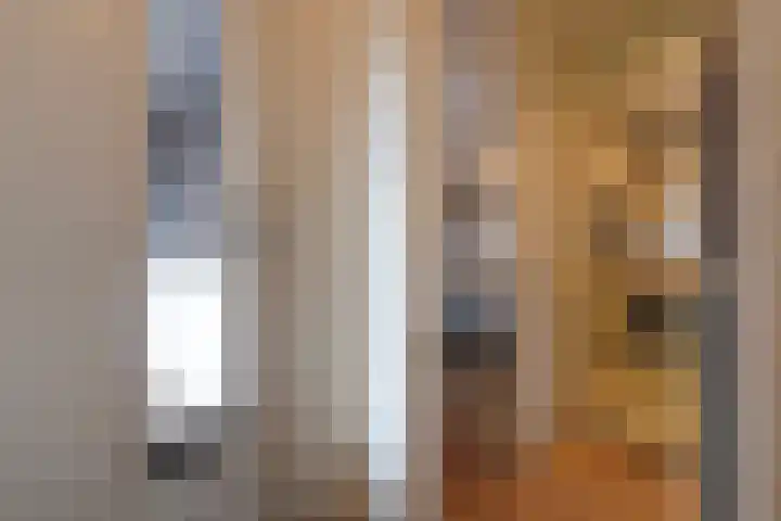 Van Tijnplein 2 Naaldwijk thumbnail 21