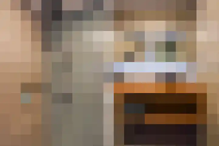 Van Tijnplein 2 Naaldwijk thumbnail 23