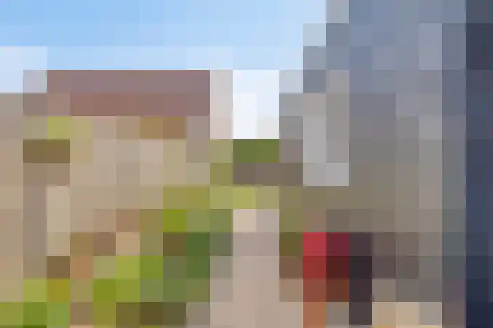van Tilburghstraat 12 Driewegen thumbnail 28