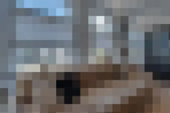 van Tilburghstraat 18 Driewegen thumbnail 24