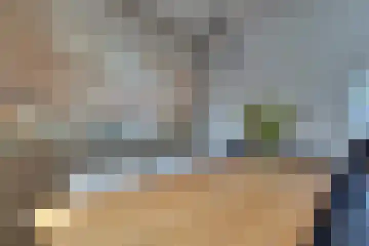 van Tilburghstraat 18 Driewegen thumbnail 35
