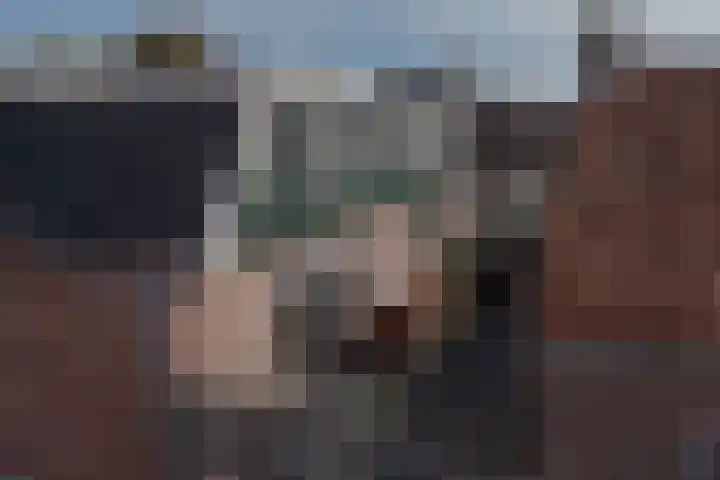 van Tilburghstraat 18 Driewegen thumbnail 5