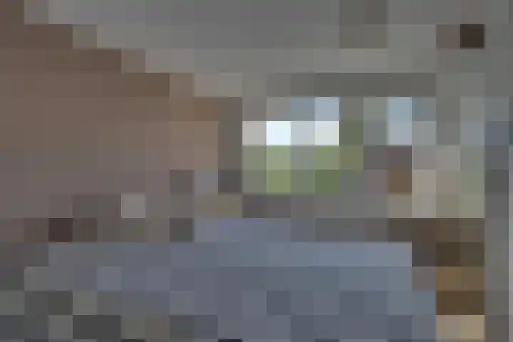 van Tilburghstraat 18 Driewegen thumbnail 51