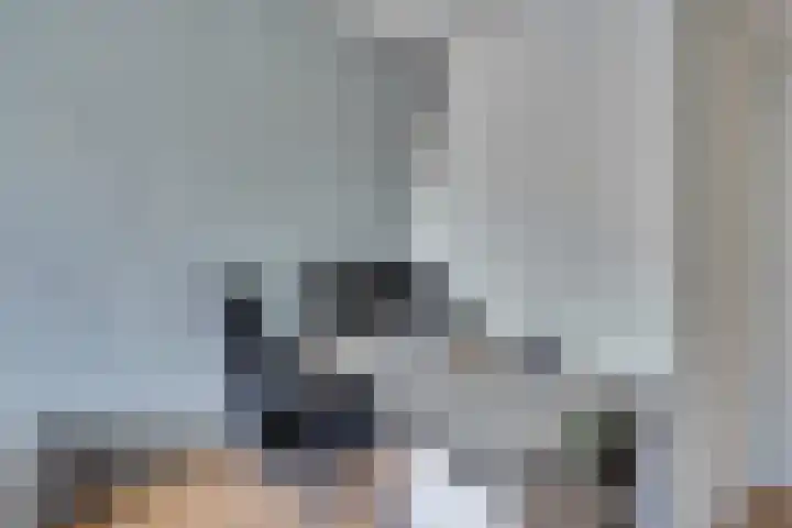 van Tilburghstraat 18 Driewegen thumbnail 56