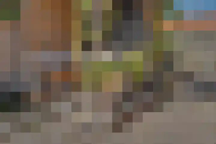 van Tilburghstraat 18 Driewegen thumbnail 69