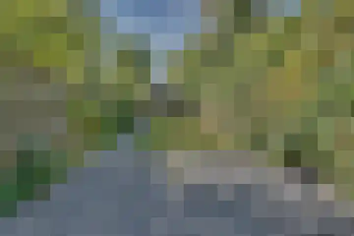 van Tilburghstraat 18 Driewegen thumbnail 75