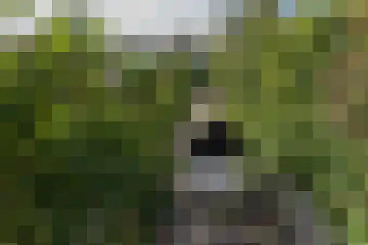 van Tilburghstraat 18 Driewegen thumbnail 90