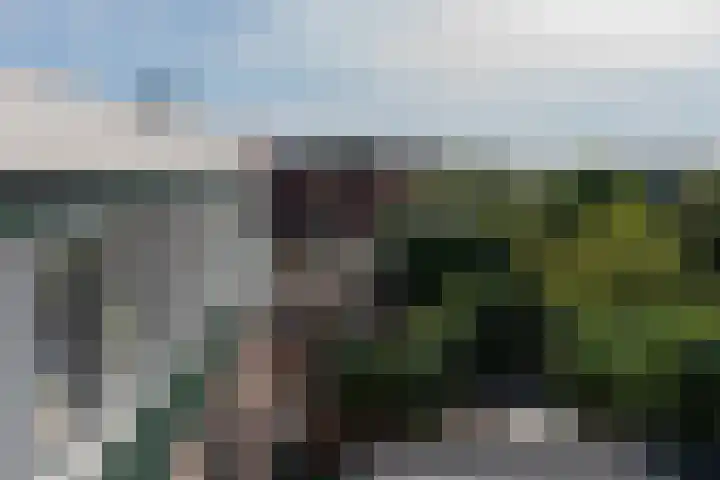 van Tilburghstraat 18 Driewegen thumbnail 92