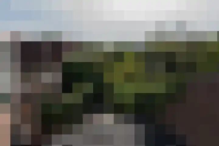 van Tilburghstraat 18 Driewegen thumbnail 93