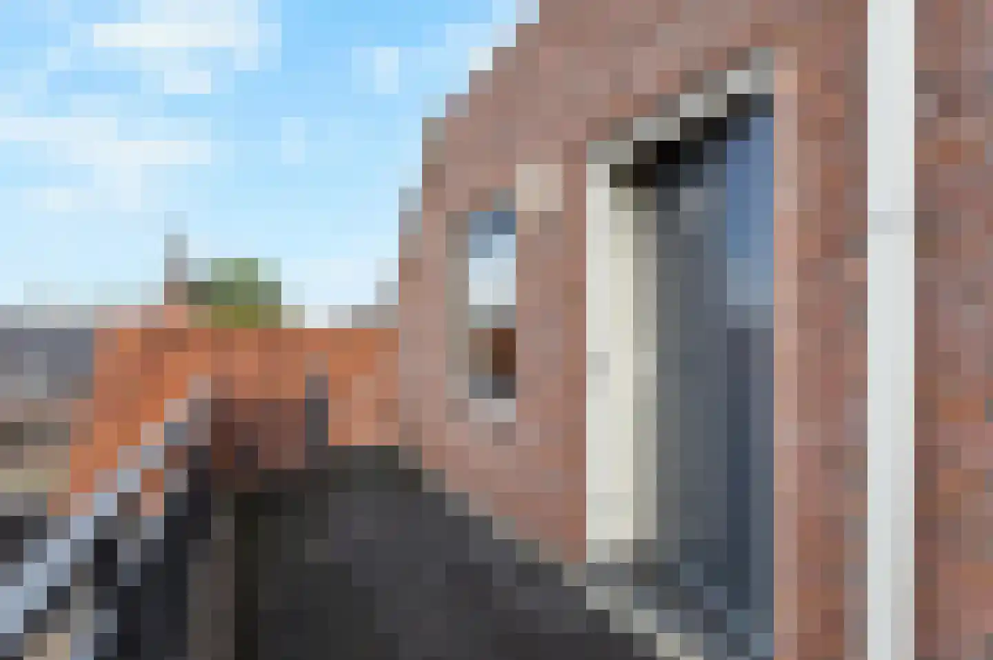 van Tolstraat 4 t Bodegraven thumbnail 11
