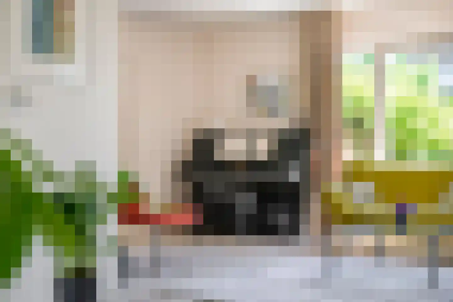 Van Toulon van der Koogweg 11 Oosterbeek thumbnail 15