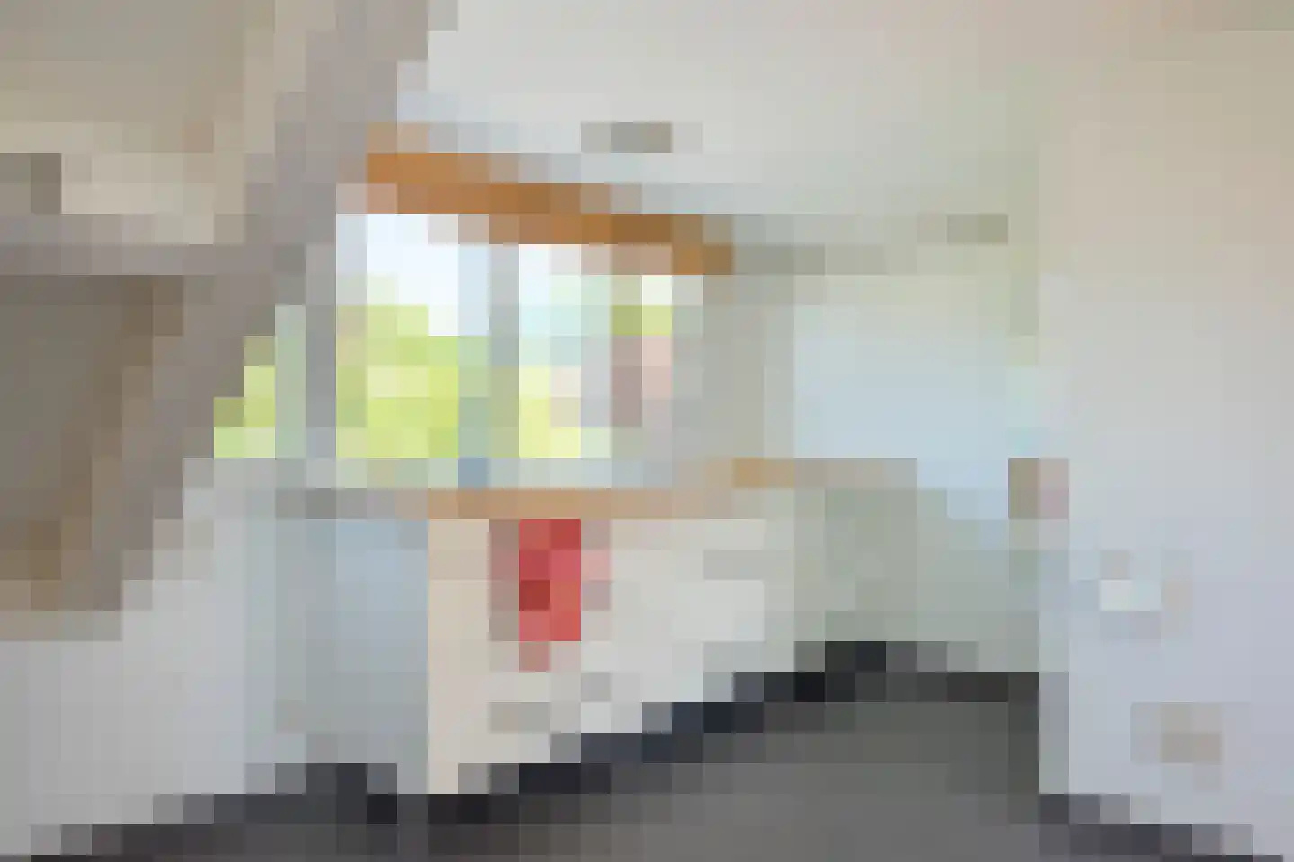 Van Toulon van der Koogweg 11 Oosterbeek thumbnail 41