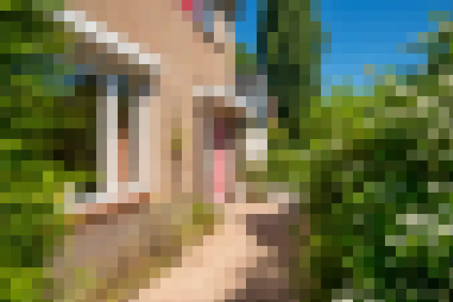 Van Toulon van der Koogweg 11 Oosterbeek thumbnail 5
