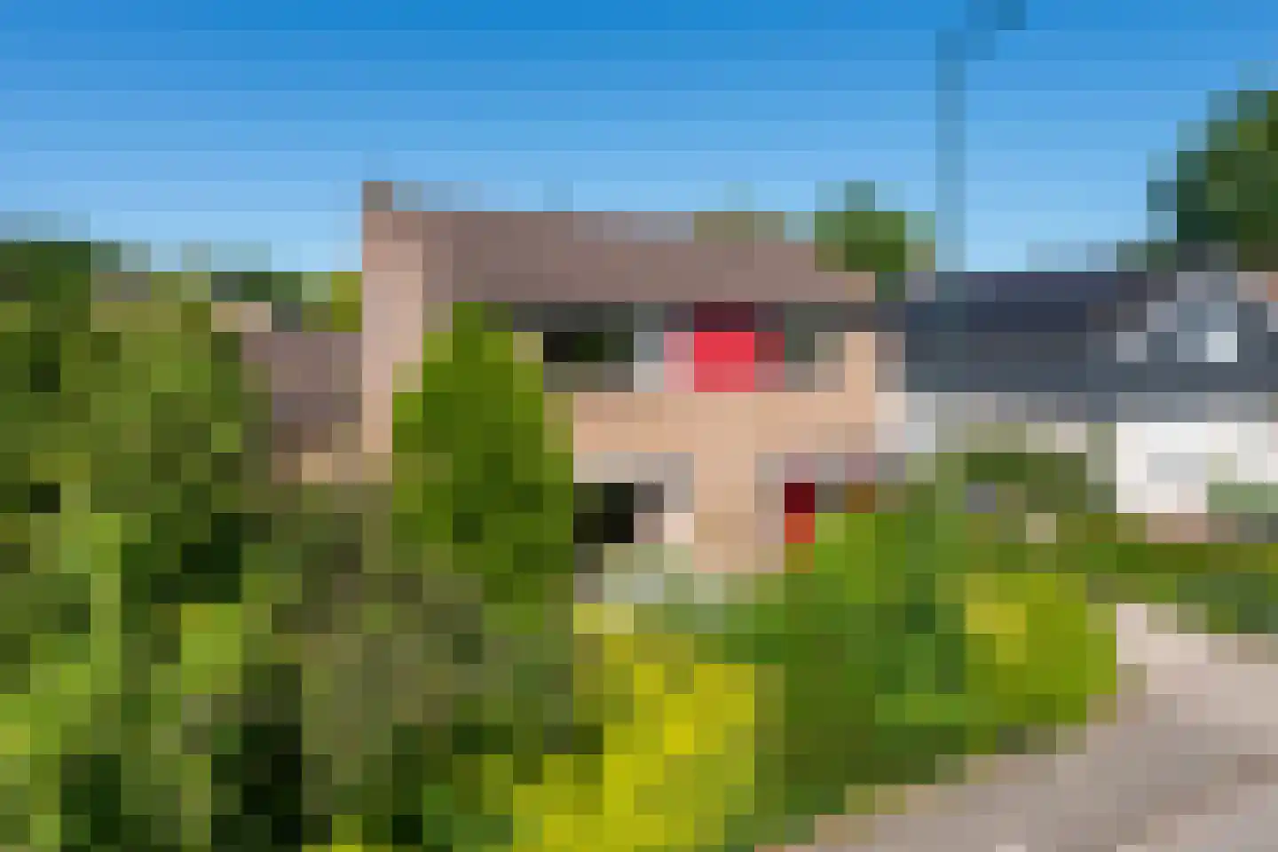 Van Toulon van der Koogweg 11 Oosterbeek thumbnail 56