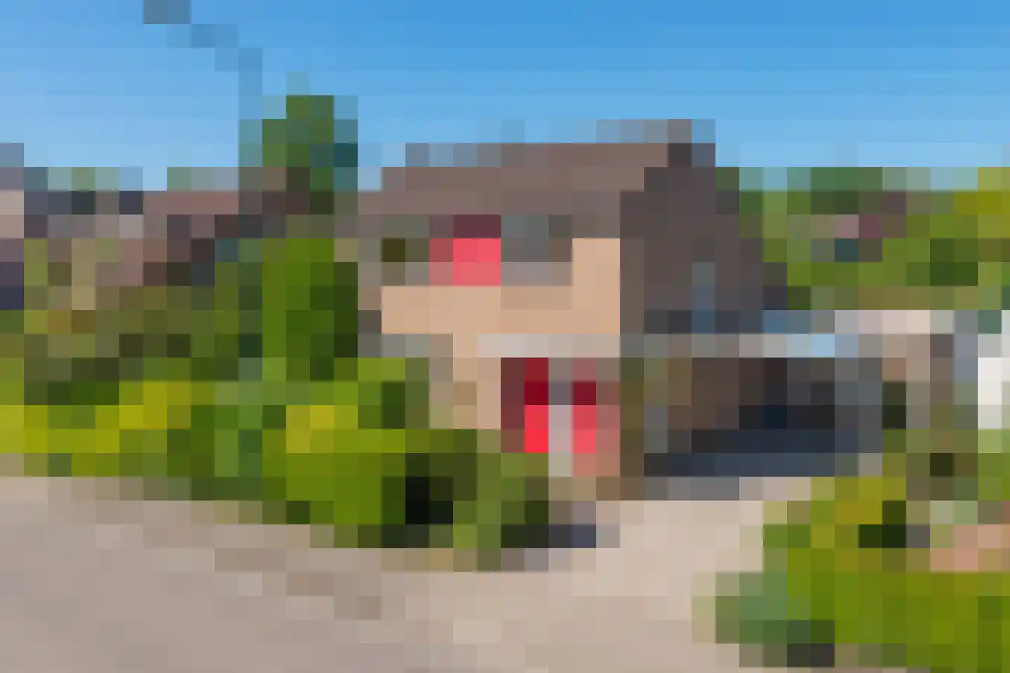 Van Toulon van der Koogweg 11 Oosterbeek thumbnail 57