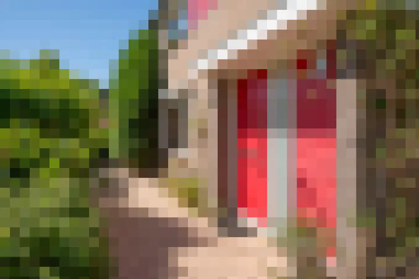 Van Toulon van der Koogweg 11 Oosterbeek thumbnail 6
