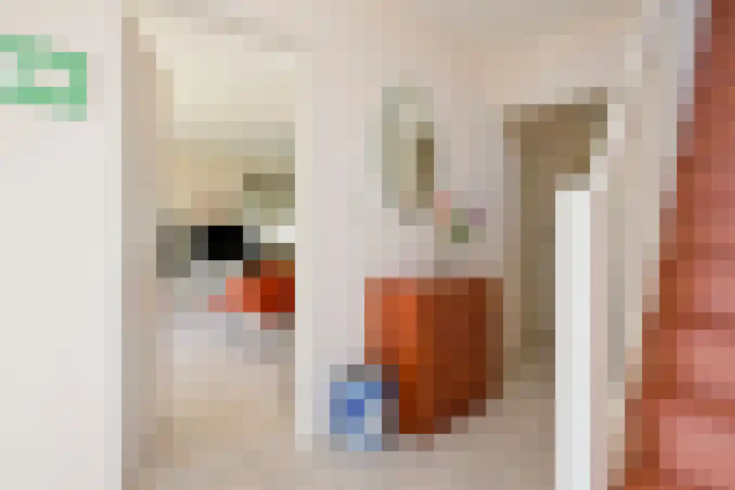 Van Toulon van der Koogweg 11 Oosterbeek thumbnail 8